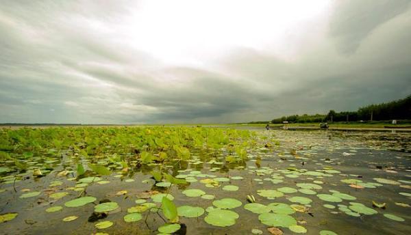 راهنمای رفتن به آبکنار راهنمای رفتن به آبکنار